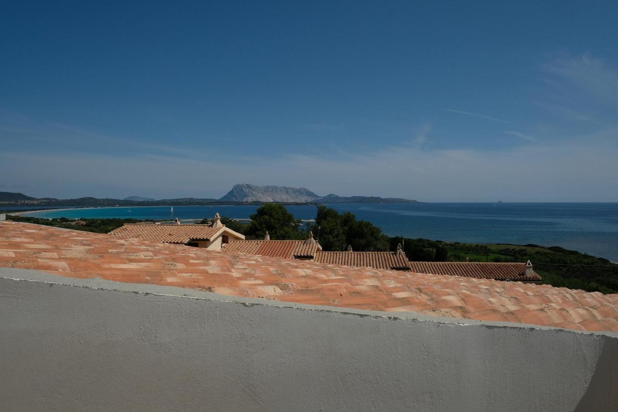 Amoreddu San Teodoro  Luaran gambar